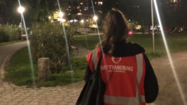 Nattvandrarna i Liljeholmen